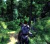 ElderScrollsIVOblivion 29